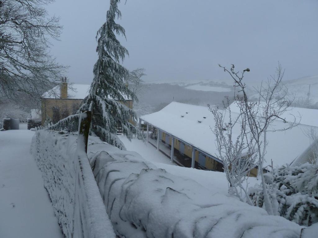 Bed and Breakfast Wilsham Farm Линтон Экстерьер фото
